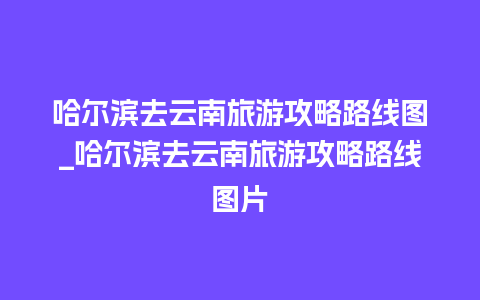 哈尔滨去云南旅游攻略路线图_哈尔滨去云南旅游攻略路线图片