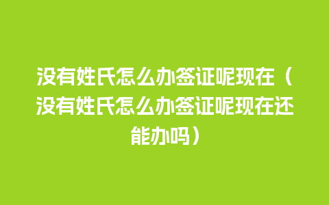 没有姓氏怎么办签证呢现在（没有姓氏怎么办签证呢现在还能办吗）