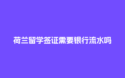 荷兰留学签证需要银行流水吗