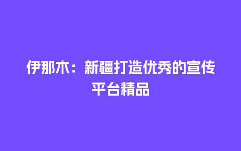 伊那木：新疆打造优秀的宣传平台精品