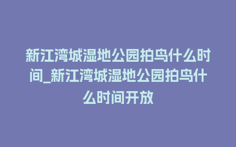 新江湾城湿地公园拍鸟什么时间_新江湾城湿地公园拍鸟什么时间开放