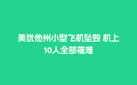 美犹他州小型飞机坠毁 机上10人全部罹难