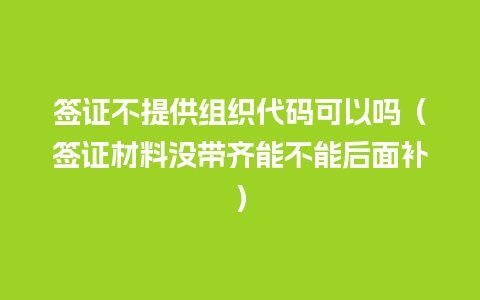 签证不提供组织代码可以吗（签证材料没带齐能不能后面补）