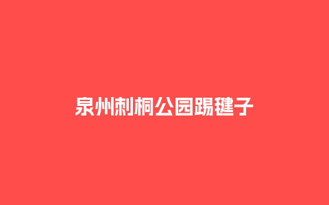 泉州刺桐公园踢毽子