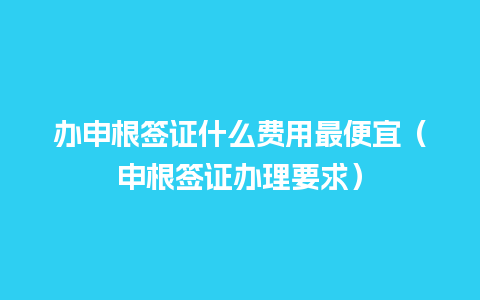 办申根签证什么费用最便宜（申根签证办理要求）