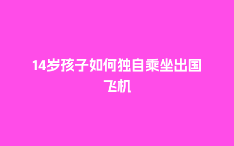 14岁孩子如何独自乘坐出国飞机