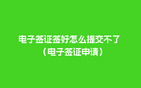 电子签证签好怎么提交不了 （电子签证申请）