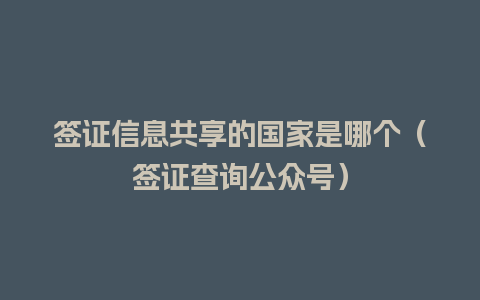 签证信息共享的国家是哪个（签证查询公众号）