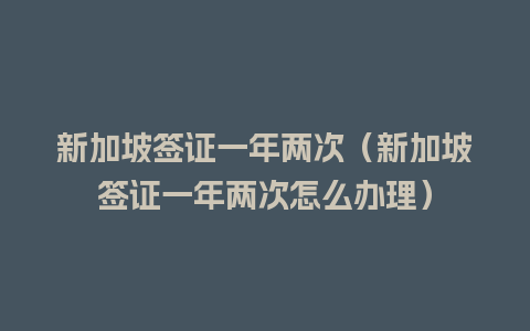 新加坡签证一年两次（新加坡签证一年两次怎么办理）