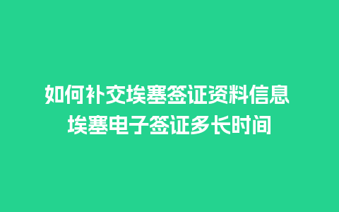 如何补交埃塞签证资料信息 埃塞电子签证多长时间