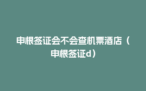 申根签证会不会查机票酒店（申根签证d）