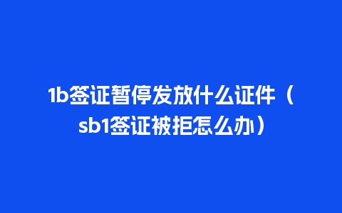 1b签证暂停发放什么证件（sb1签证被拒怎么办）