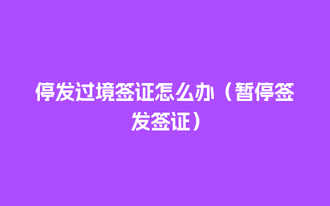 停发过境签证怎么办（暂停签发签证）