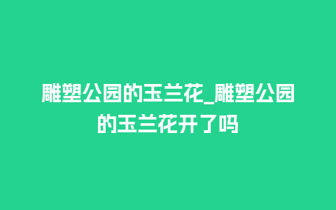 雕塑公园的玉兰花_雕塑公园的玉兰花开了吗