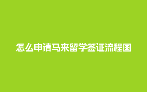 怎么申请马来留学签证流程图