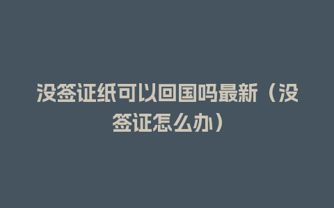 没签证纸可以回国吗最新（没签证怎么办）