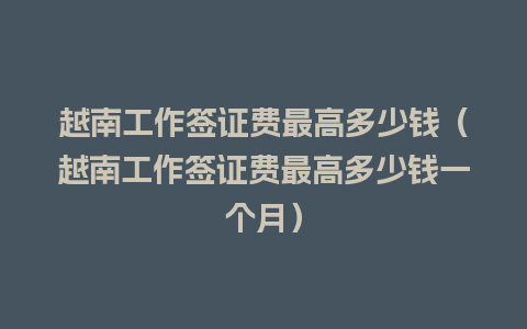 越南工作签证费最高多少钱（越南工作签证费最高多少钱一个月）