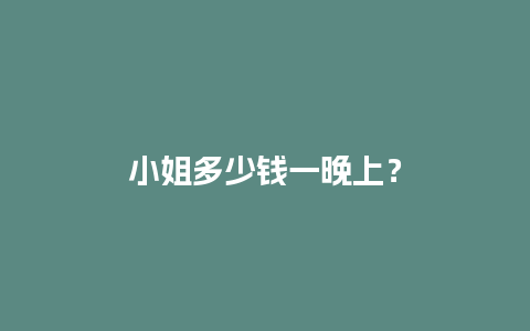 小姐多少钱一晚上？