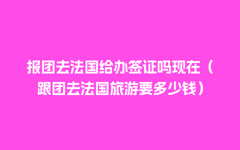 报团去法国给办签证吗现在（跟团去法国旅游要多少钱）