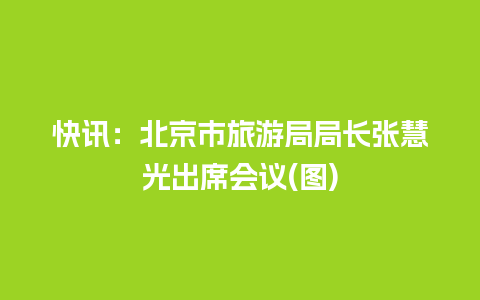 快讯：北京市旅游局局长张慧光出席会议(图)