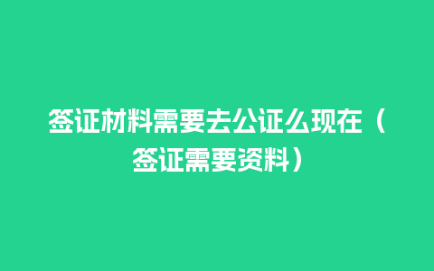 签证材料需要去公证么现在（签证需要资料）