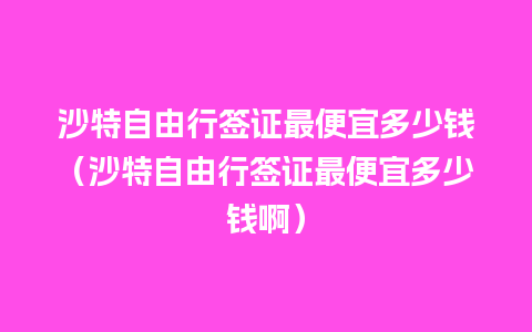 沙特自由行签证最便宜多少钱（沙特自由行签证最便宜多少钱啊）