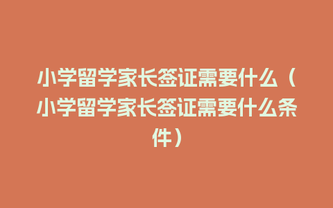 小学留学家长签证需要什么（小学留学家长签证需要什么条件）