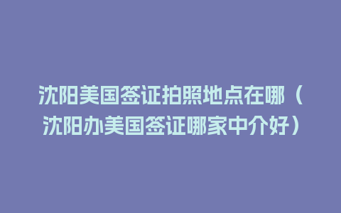 沈阳美国签证拍照地点在哪（沈阳办美国签证哪家中介好）