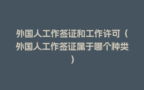 外国人工作签证和工作许可（外国人工作签证属于哪个种类）