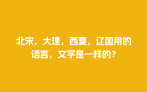 北宋，大理，西夏，辽国用的语言，文字是一样的？