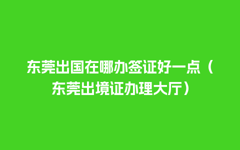 东莞出国在哪办签证好一点（东莞出境证办理大厅）