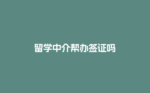 留学中介帮办签证吗