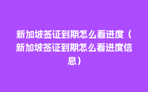 新加坡签证到期怎么看进度（新加坡签证到期怎么看进度信息）