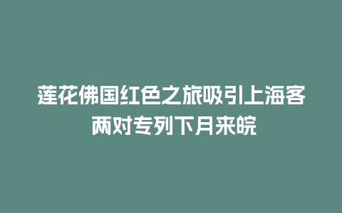 莲花佛国红色之旅吸引上海客 两对专列下月来皖