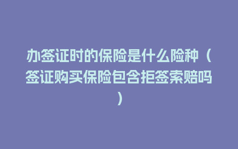 办签证时的保险是什么险种（签证购买保险包含拒签索赔吗）