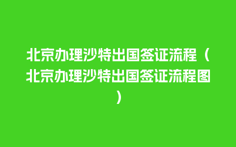 北京办理沙特出国签证流程（北京办理沙特出国签证流程图）