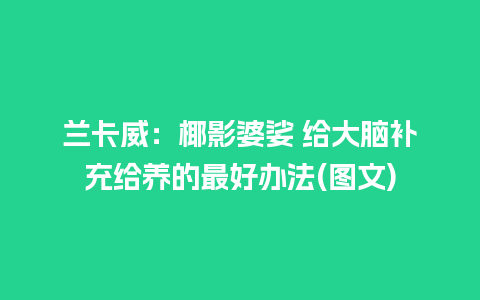 兰卡威：椰影婆娑 给大脑补充给养的最好办法(图文)