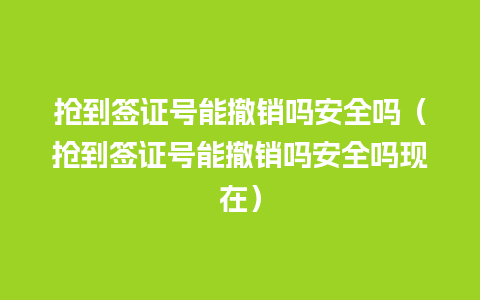 抢到签证号能撤销吗安全吗（抢到签证号能撤销吗安全吗现在）