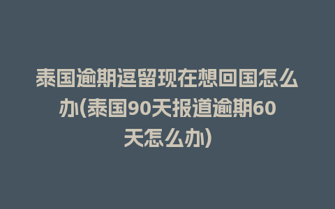 泰国逾期逗留现在想回国怎么办(泰国90天报道逾期60天怎么办)