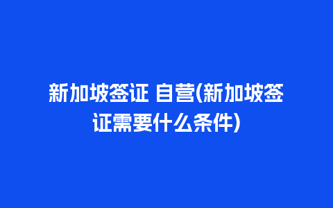 新加坡签证 自营(新加坡签证需要什么条件)