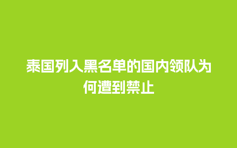 泰国列入黑名单的国内领队为何遭到禁止