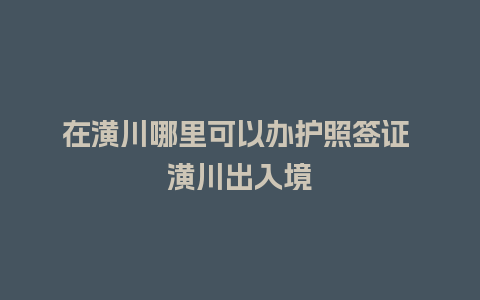 在潢川哪里可以办护照签证 潢川出入境