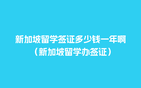 新加坡留学签证多少钱一年啊（新加坡留学办签证）