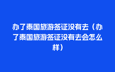 办了泰国旅游签证没有去（办了泰国旅游签证没有去会怎么样）