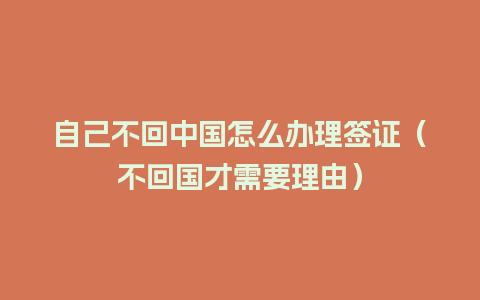 自己不回中国怎么办理签证（不回国才需要理由）