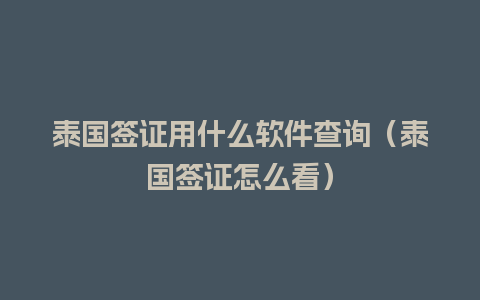 泰国签证用什么软件查询（泰国签证怎么看）