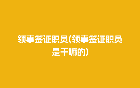 领事签证职员(领事签证职员是干嘛的)