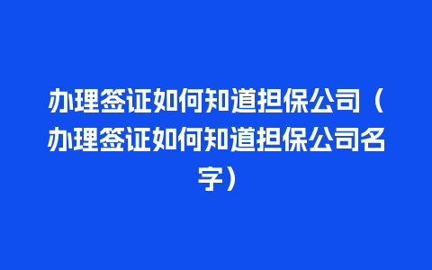 办理签证如何知道担保公司（办理签证如何知道担保公司名字）