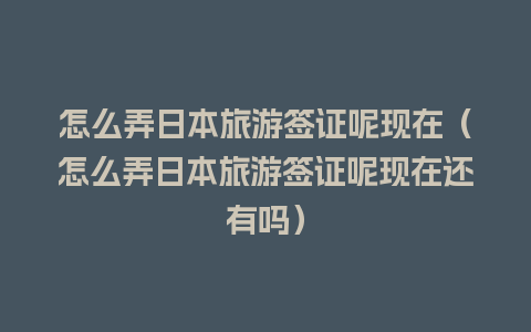 怎么弄日本旅游签证呢现在（怎么弄日本旅游签证呢现在还有吗）