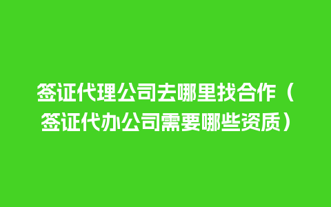 签证代理公司去哪里找合作（签证代办公司需要哪些资质）